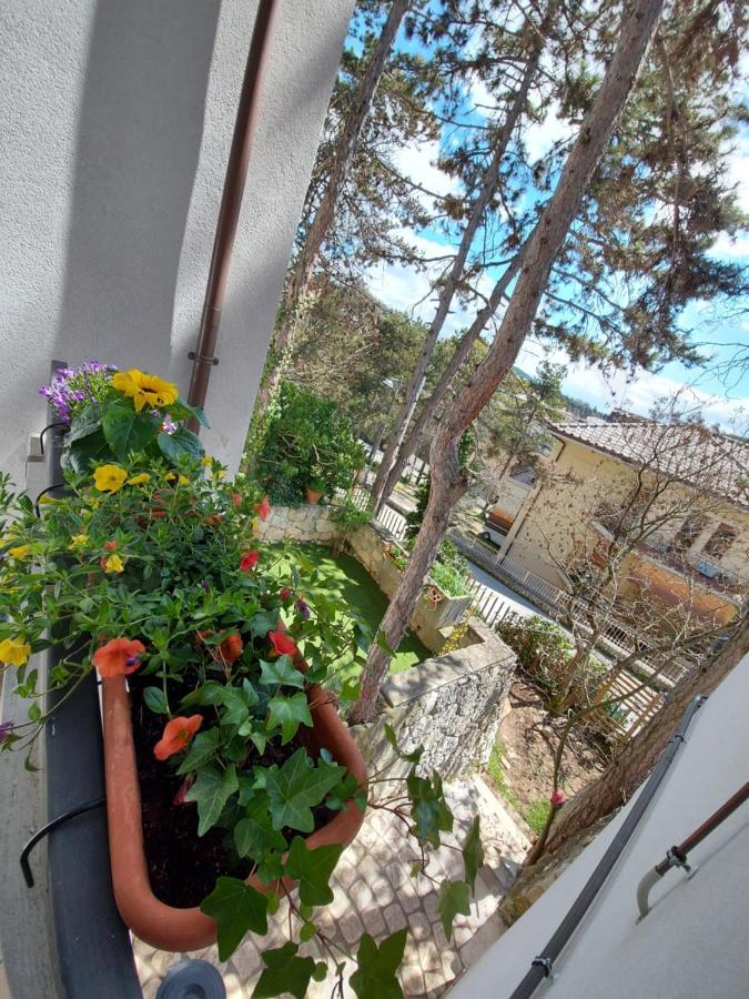 LʼAquila La Pineta - Delightful Small Apartment Near The City Center المظهر الخارجي الصورة